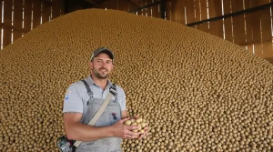 Agriculteurs et industriels de la pomme de terre ont plus que jamais besoin de visibilité