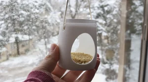 Arrêtez de jeter ce petit pot en plastique : il devient la mangeoire préférée des oiseaux cet hiver