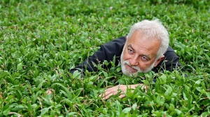 Pleine Lune mars 2026 : voici les dates idéales pour tondre et ralentir la repousse du gazon